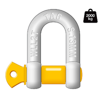 TAG DROP FORGED CARBON STEEL D-SHACKLE - LOAD RATE 2000KG 13MM (DSG013)