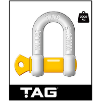 TAG DROP FORGED CARBON STEEL D-SHACKLE - LOAD RATE 2000KG 13MM (DSG013)