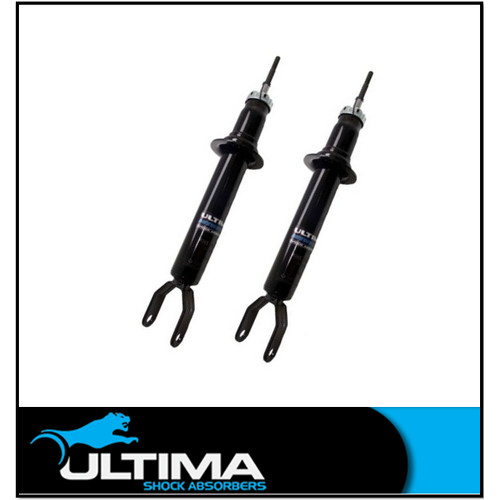 FORD FALCON FG XT G6 XR6 XR6T XR8 SEDAN/UTE FRONT NITRO GAS ULTIMA STRUTS (PAIR)