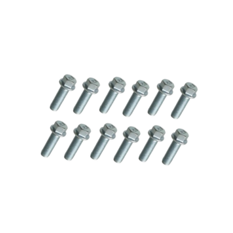 EXTRACTOR HEADER BOLT KIT FITS HOLDEN COMMODORE VT-VF LS1 LS2 LS3 L76 L77 L98 LSA (12 BOLTS)